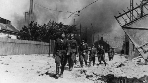 Varšavské povstání, polští partyzáni