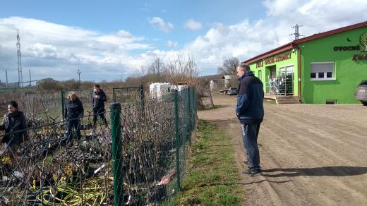 Ovocnářská školka u Lovosic zažívá nápor zákazníků