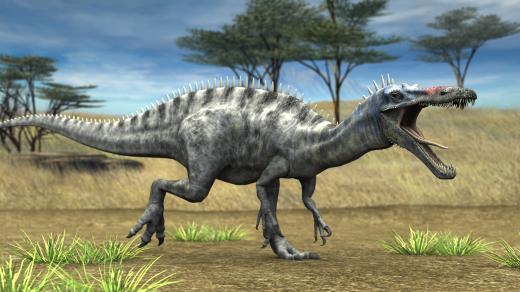 Takhle nějak mohl vypadat dinosaurus suchomimus