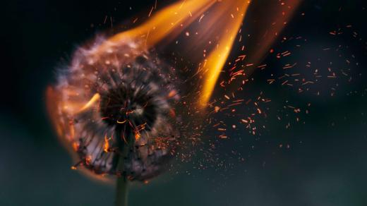 enviromentální žal