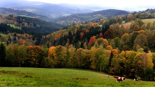 Šumava, podzim (ilustrační foto)