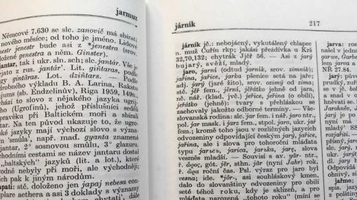 Jaro v etymologickém slovníku