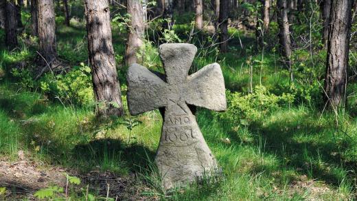 Výrazný kamenný kříž nedaleko osady Ferdinandov u Choustníkova Hradiště (okres Trutnov)