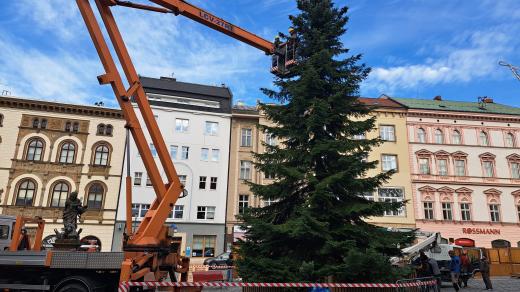 Na olomouckém Horním náměstí začali v pondělí se zdobením vánočního stromu