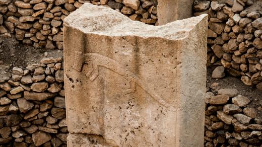 Reliéfy na kamenných pilířích v Göbekli Tepe zachycují různá zvířata