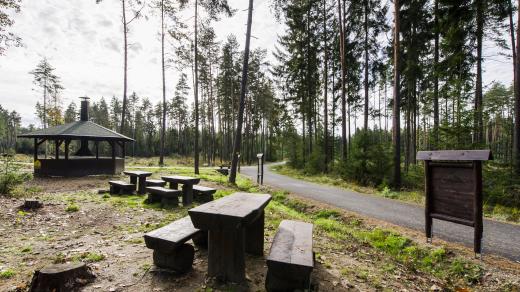Městské lesy Hradec Králové pečují o přírodu v okolí krajské metropole