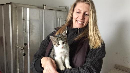 Dita Uhriková zachraňuje toulavé kočky ve Strakonicích