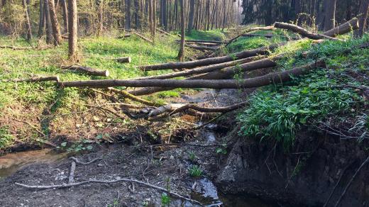 Zádolský potok na Svitavsku dostává původní podobu, kterou měl před narovnáním v 70. letech