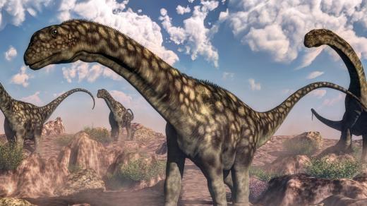 Argentinosaurus je největším dinosaurem, jehož kosti lidé dosud objevili. Na obrázku je rekonstrukce, jak asi mohl vypadat