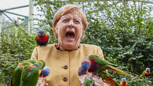 Odcházející kancléřka Angela Merkelová krmí papoušky v ptačím parku Marlow v severním Německu (23. září 2021)