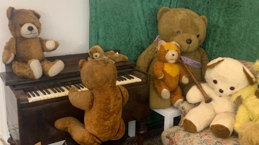 Medvědi jako muzikanti