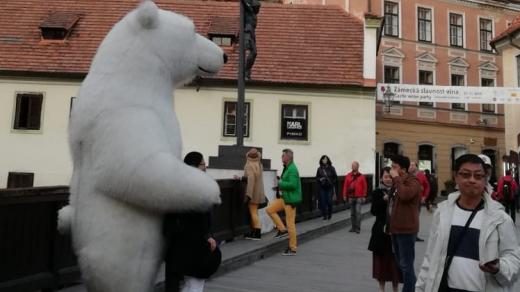 Člověk v kostýmu ledního medvěda na Lazebnickém mostě v Českém Krumlově