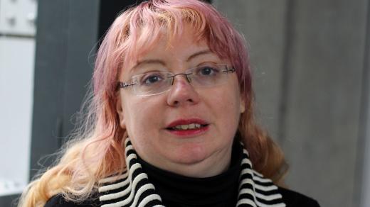 Ilona Švihlíková, ekonomka