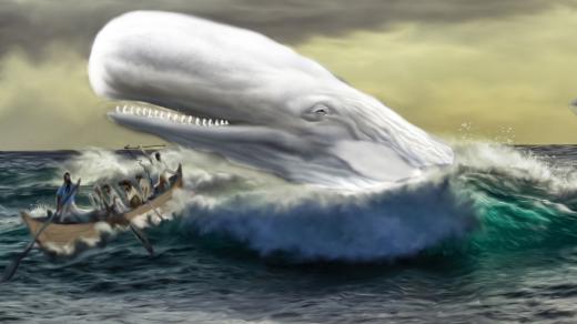 Kdo zvítězí - člověk, nebo velryba?
