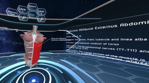 Ve virtuální učebnici je podrobně popsána každá kost, sval, nerv a céva