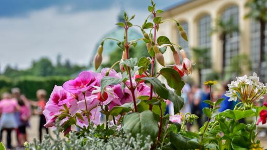 Květná zahrada, Kroměříž