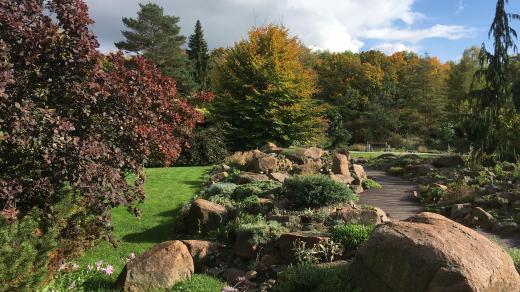 Kdo si chce v těchto podzimních dnech trochu zlepšit náladu, může zajít třeba do botanické zahrady v Teplicích