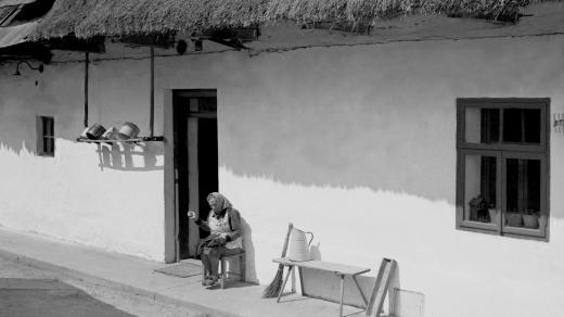 Domek s doškovou střechou v Malovicích