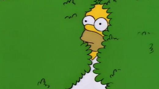 The-Simpsons-Homer-Slides-Into-Hedge.jpg