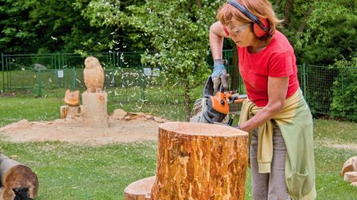 Jubilejní 20. desenské dřevosochání v zahradě Riedlovy vily