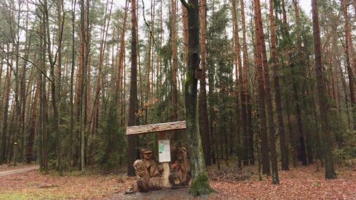 Čertův dub je ve Srubech už třetí v pořadí, ty předchozí dva rostly nedaleko