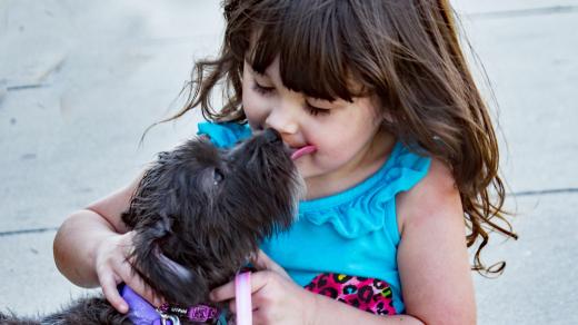 dítě a pes, holčička se psem
