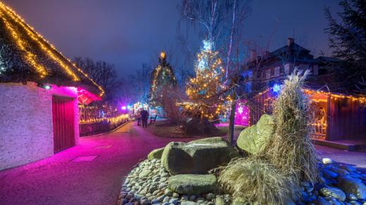 Vánočně nasvícená Zoo Hluboká nad Vltavou