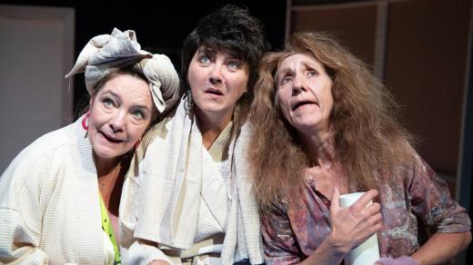 Veronika Janků, Apolena Veldová, Jana Kubátová