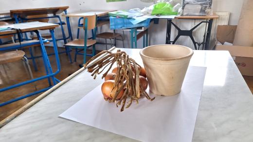 Nakreslit zátiší s květináčem a svazkem cibule byl jeden z úkolů při přijímacích zkouškách na Střední pedagogické škole v Prachaticích