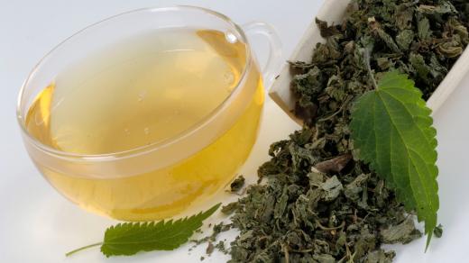 Kopřivový čaj, detoxikace, jarní očista organismu (ilustrační foto)