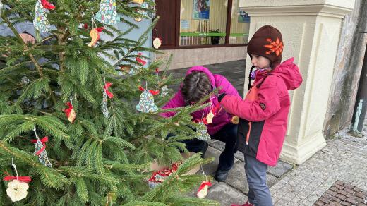 Děti z trutnovských mateřských škol mají společný úkol. Ozdobit vánoční stromečky na Krakonošově náměstí