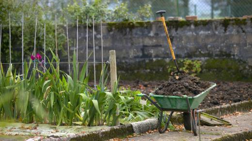 Podzimní hnojení zahrady
