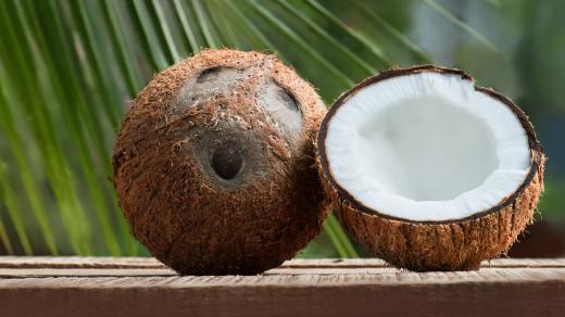 Skořápka kokosu může vzdáleně připomínat obličej nebo lebku