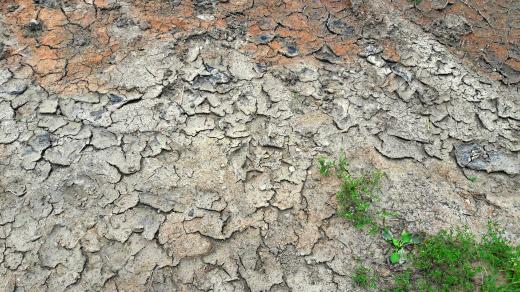 Dlouhodobé sucho trápí některé farmáře v Plzeňském kraji