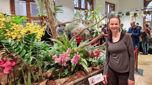 Markéta Aubrechtová, organizátorka výstavy orchidejí v Jihočeském muzeu