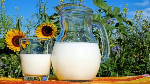 Mléko (ilustrační foto)