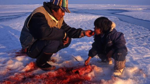 V druhé polovině minulého století úřady posílaly inuitské děti do internátních škol. Sestěhovaly Inuity do osad a de facto rozbily tradiční vztahy v rodinách i v komunitě