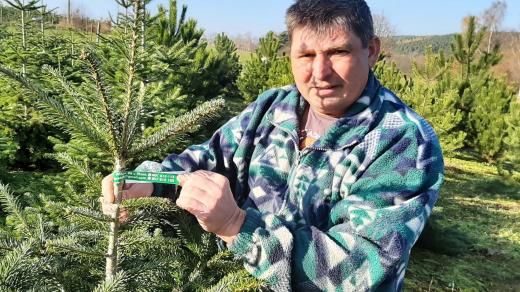 Reného Calta z příšovské plantáže