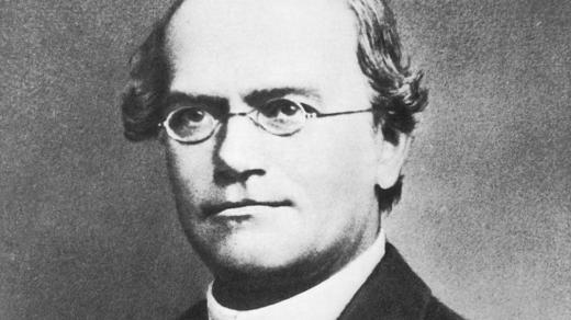 Zakladatel genetiky Gregor Johann Mendel