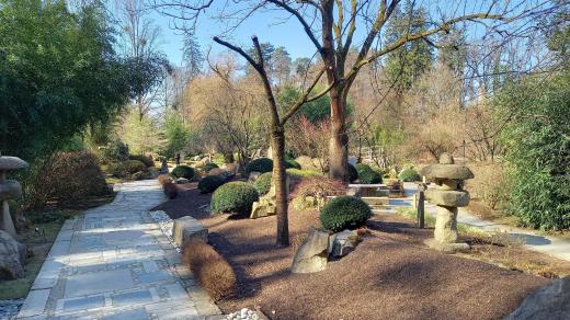 Kamenná cesta v japonské zahradě Mu-Shin
