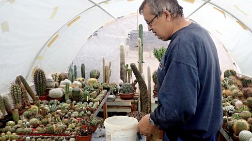 Rudolf Marek své kaktusové království založil v roce 2004 a dnes je obývá přibližně tisíc kaktusů