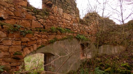 Ruiny stavení v zaniklé obci Vitín na Ústecku opuštěné v 50. letech 20. století v souvislosti s vysídlením německy hovořícího obyvatelstva a špatnou dopravní dostupností