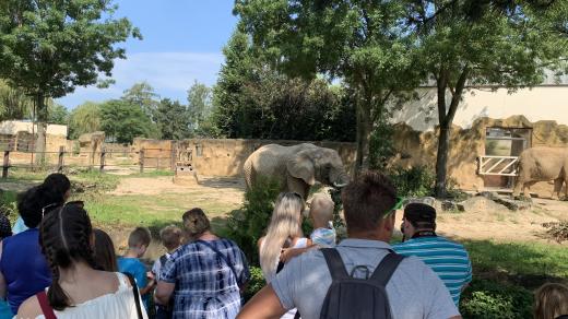 Safari park Dvůr Králové hlásí rekordní denní návštěvnost