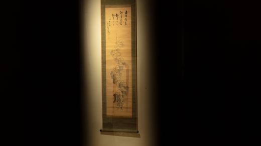 Zenga – Salmovský palác