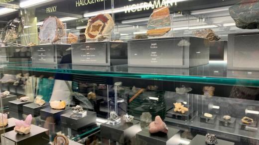 Novou stálou archeologickou, přírodovědnou a národopisnou expozici otevřelo Jihočeské muzeum v Českých Budějovicích