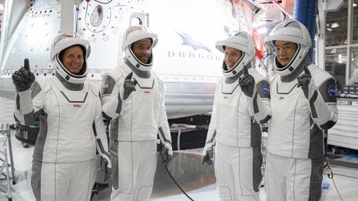 Posádka první operační mise soukromé lodi Crew Dragon společnosti SpaceX - Američanka Shannon Walkerová, její kolegové z oddílu NASA Victor Glover a Michael Hopkins a japonský astronaut Soichi Noguchi