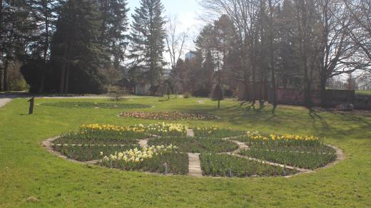 Procházka rozkvétající botanickou zahradou v Olomouci