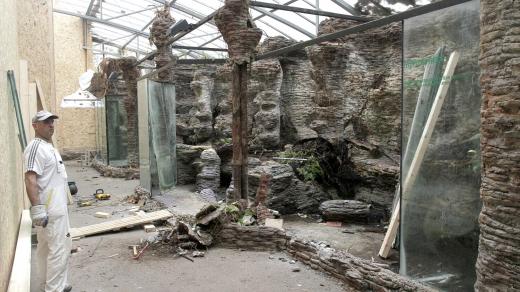Největší prostory nejstaršího pavilonu Safari Parku Dvůr Králové právě procházejí změnami