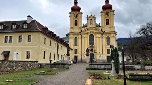 V Hejnicích na Frýdlantsku vykáceli stoleté lípy v tamním parku u kláštera