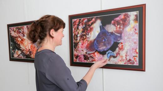 Potapěč a člen Fotoklubu Písek Luboš Beňák vystavuje podmořské fotky v městské galerii ve Vodňanech